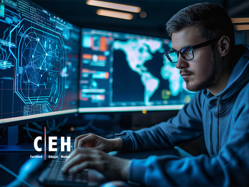 Certified Ethical Hacker (CEHv13) Instructor led Training