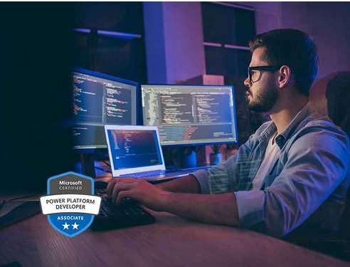 Microsoft Power Platform Developer (PL-400T00)