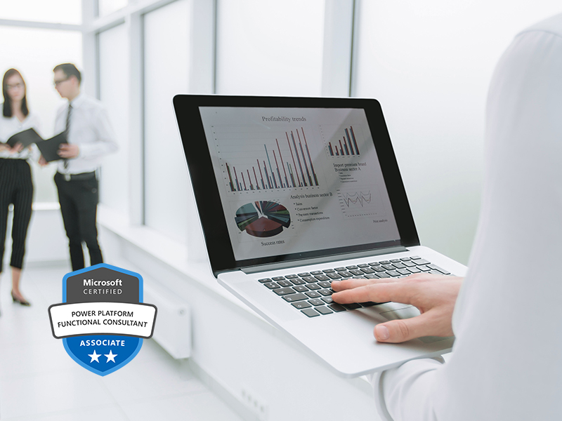 Microsoft Power Platform Functional Consultant (PL-200T00)